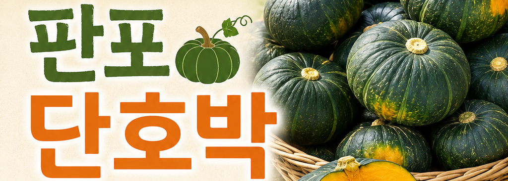 판포 단호박